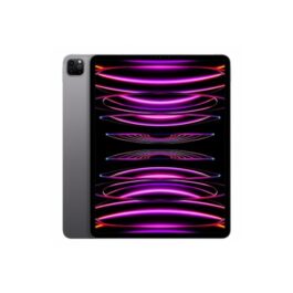iPad Pro 11 Pouces 2022 Puce M2 128Go